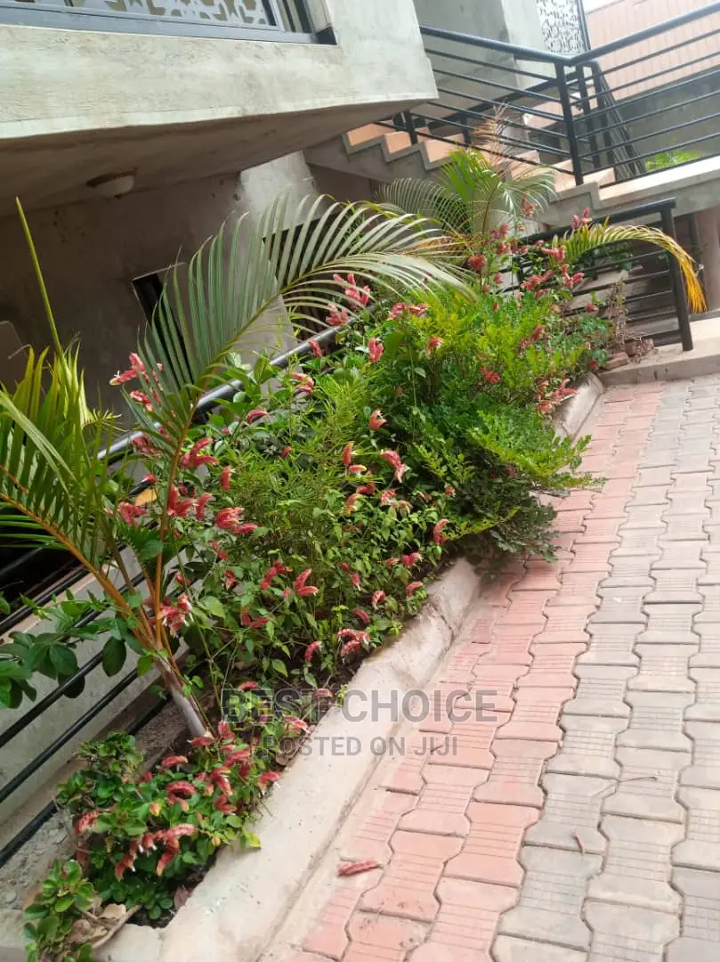 High Standard,Modern Compound Designing and Land Scarping.