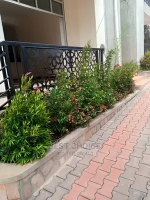 High Standard,Modern Compound Designing and Land Scarping.