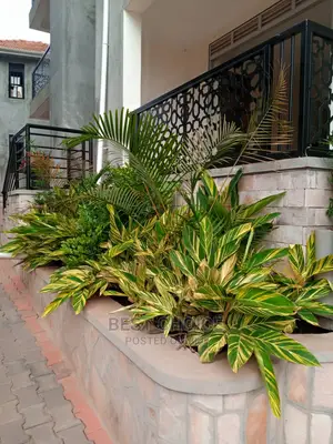 High Standard,Modern Compound Designing and Land Scarping.