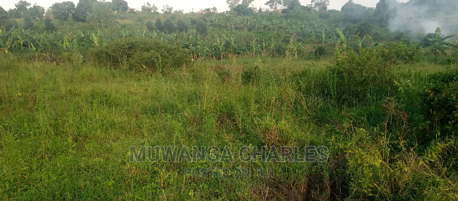 Plot Is for Sale in Bugema