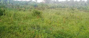 Plot Is for Sale in Bugema