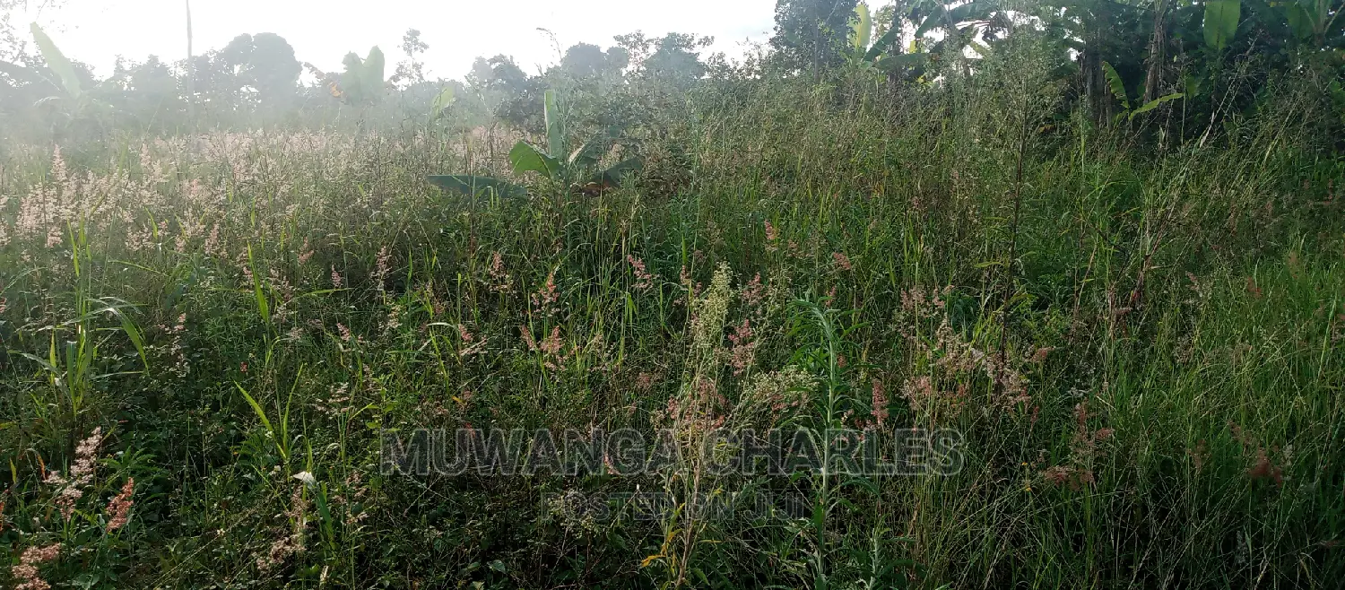 Plot Is for Sale in Bugema