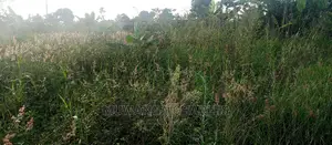 Plot Is for Sale in Bugema