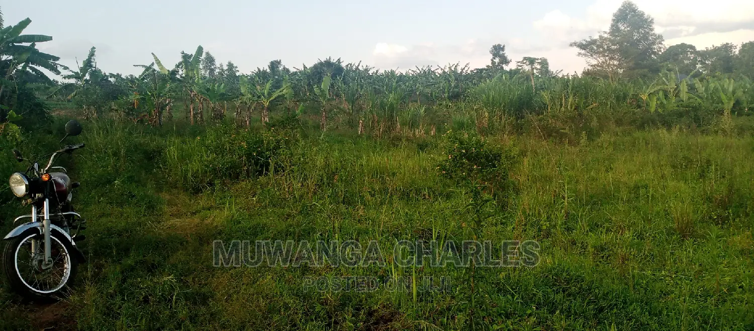 Plot Is for Sale in Bugema