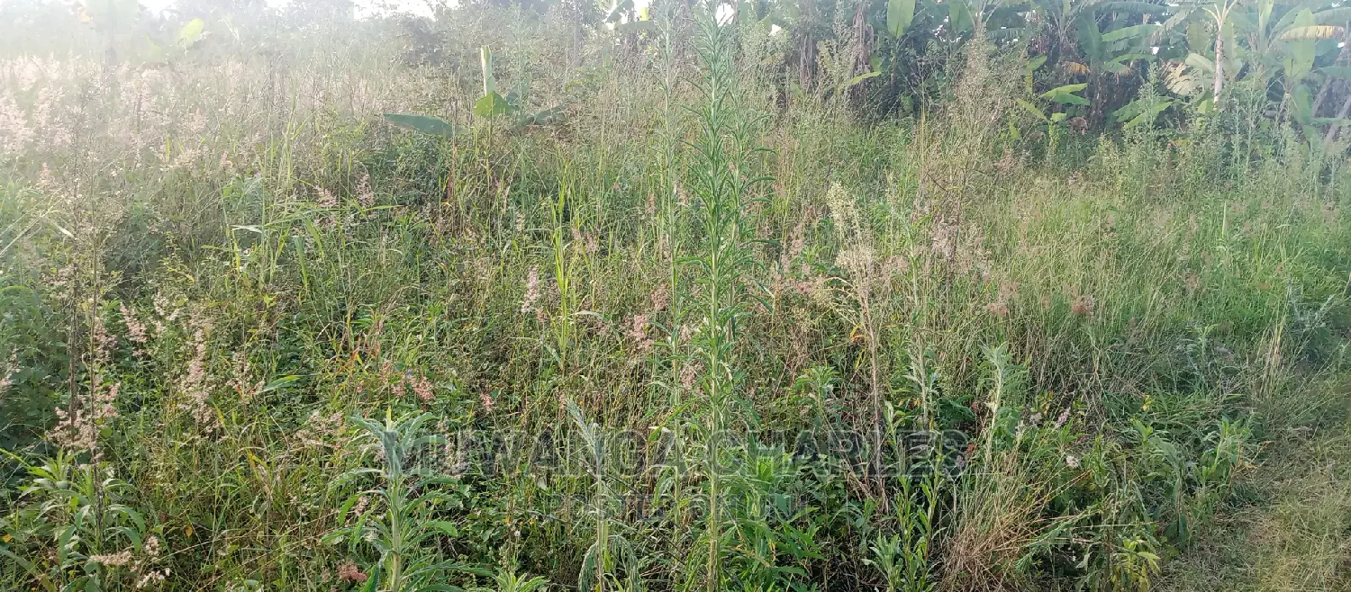 Plot Is for Sale in Bugema