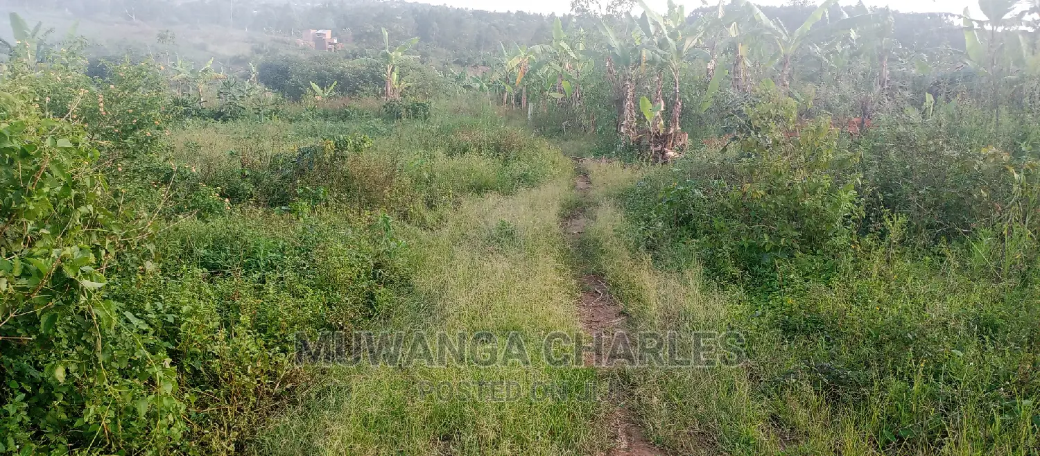 Plot Is for Sale in Bugema