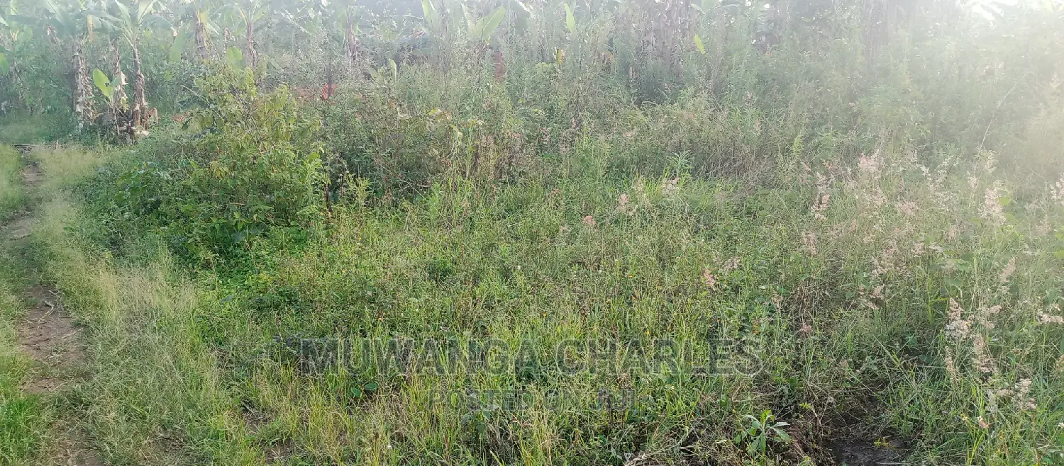 Plot Is for Sale in Bugema