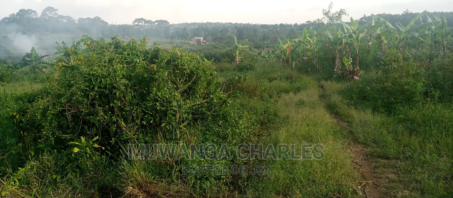 Plot Is for Sale in Bugema