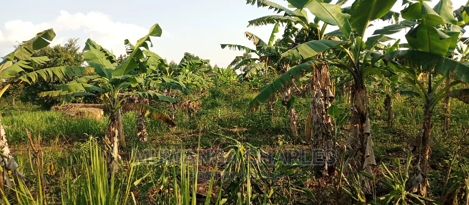 Land on Sale in Bugema