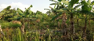 Land on Sale in Bugema