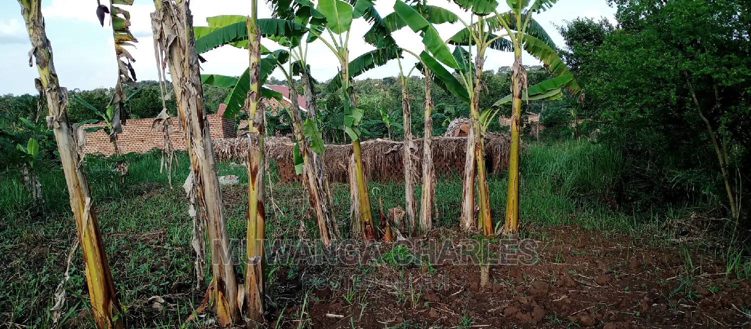 Land on Sale in Bugema