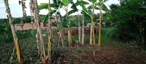 Land on Sale in Bugema