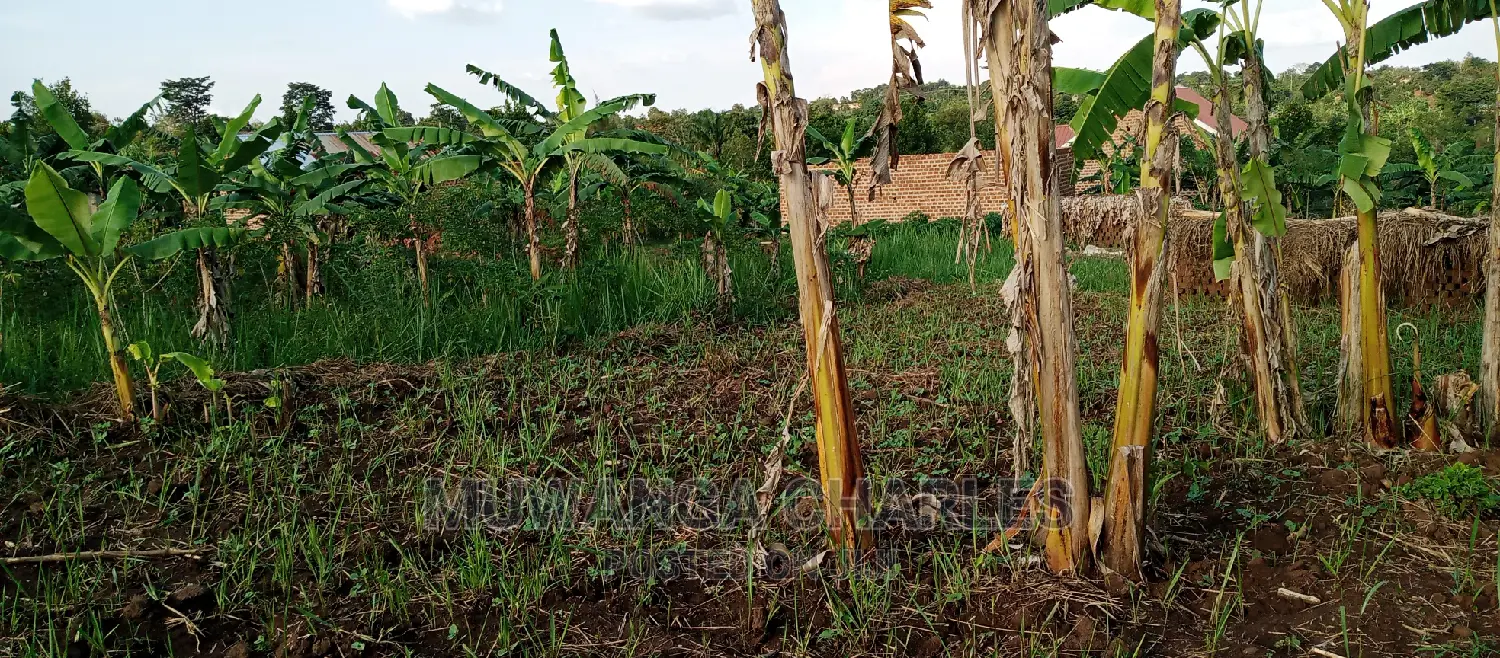 Land on Sale in Bugema
