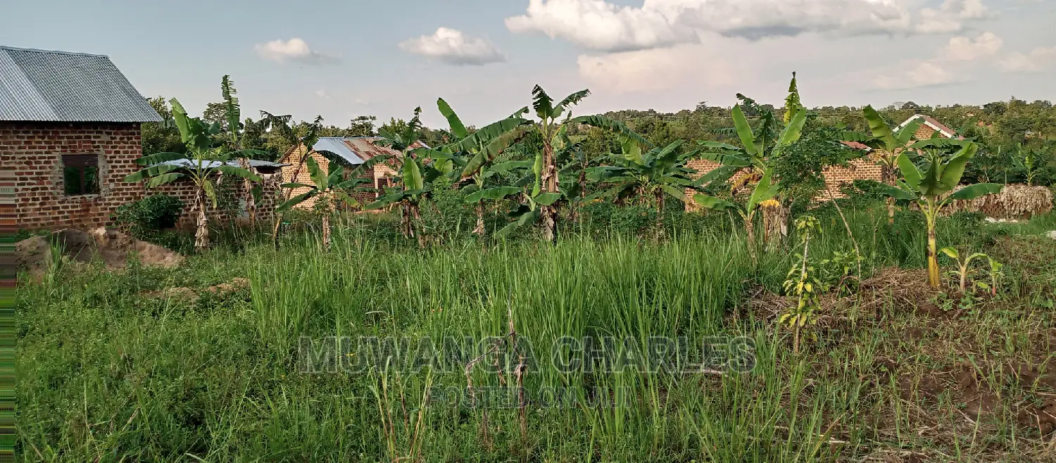 Land on Sale in Bugema