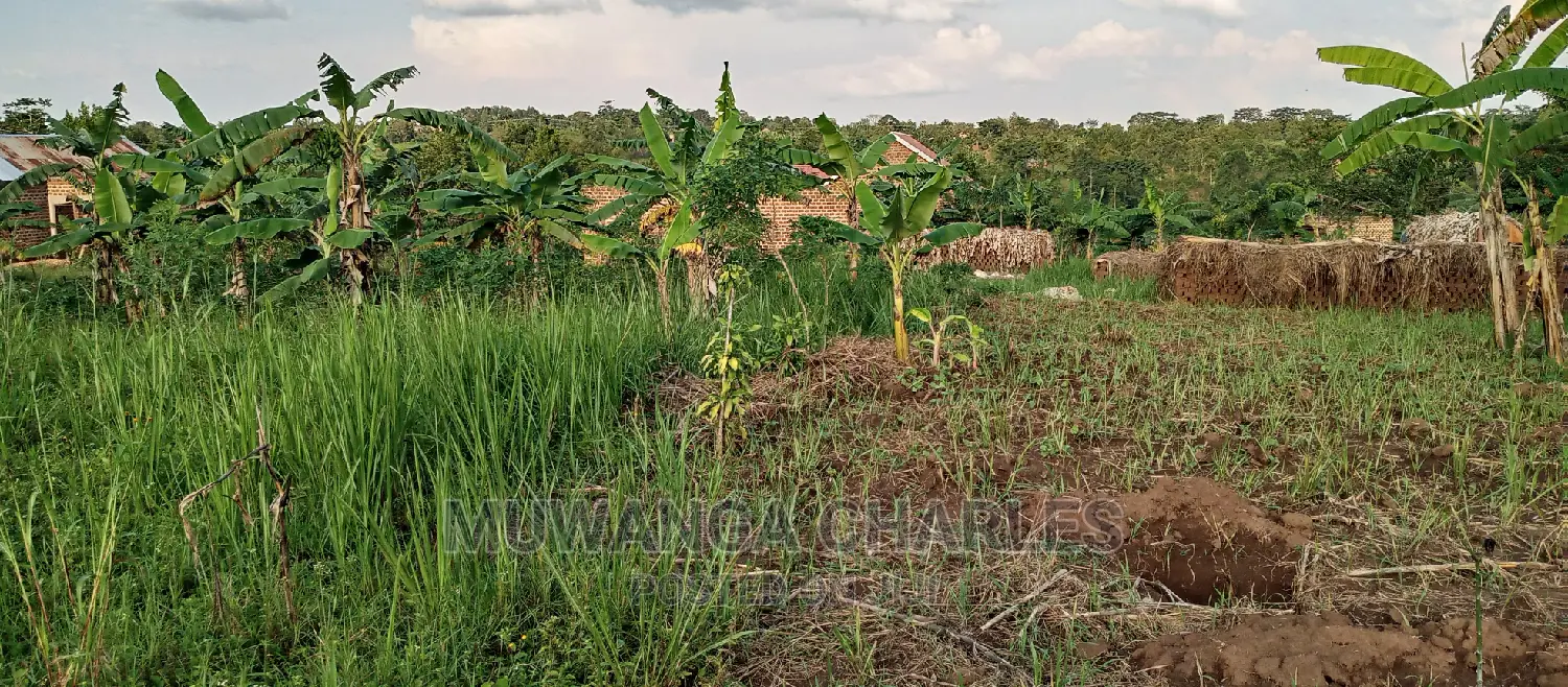 Land on Sale in Bugema