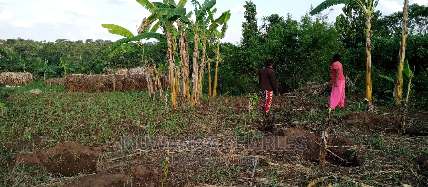 Land on Sale in Bugema