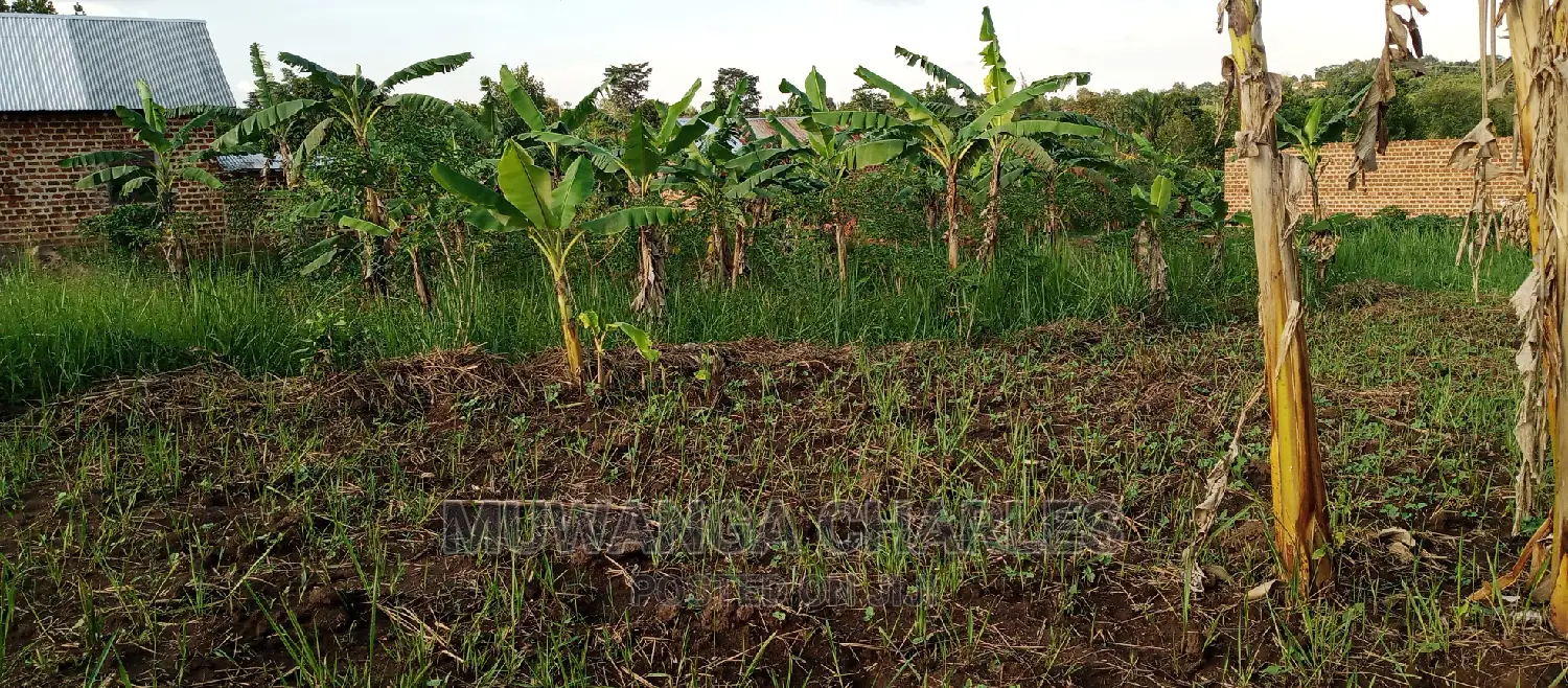 Land on Sale in Bugema