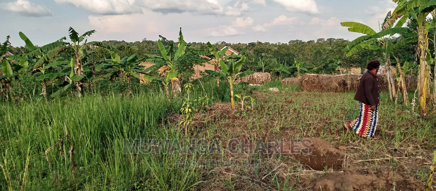 Land on Sale in Bugema