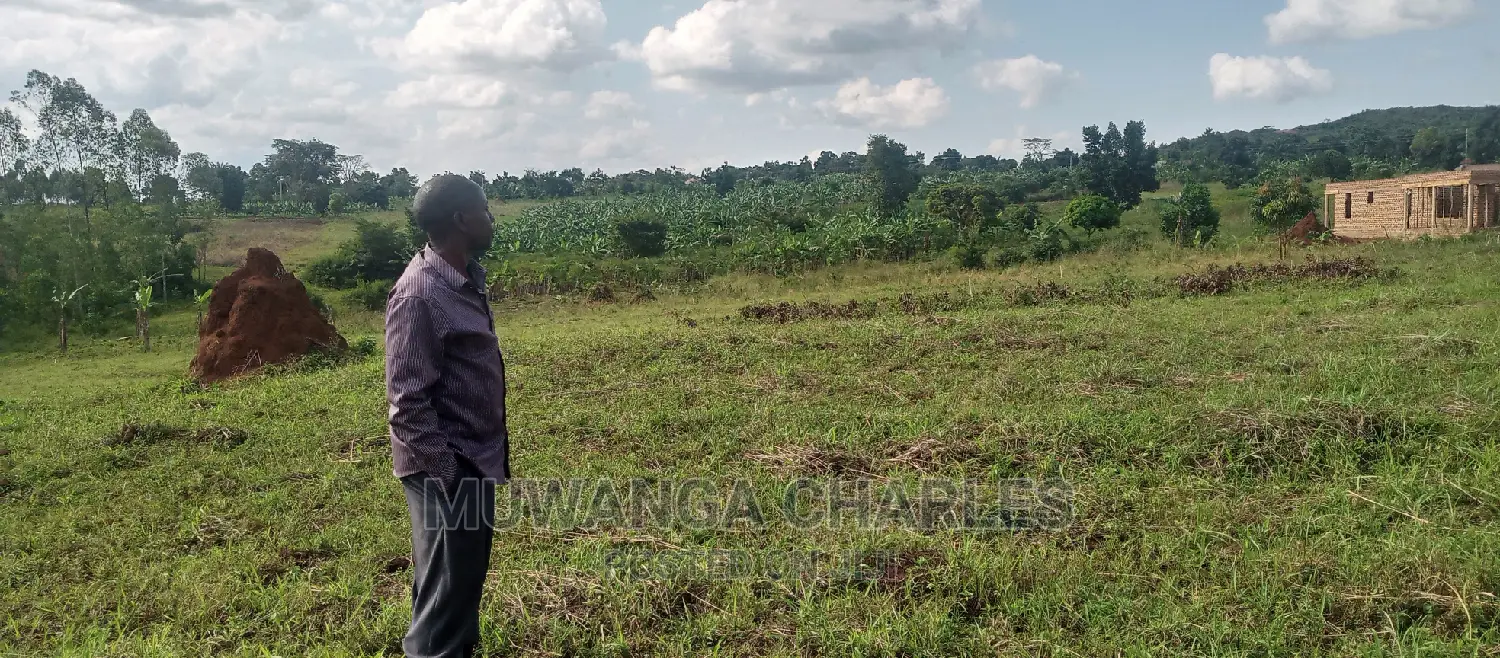 Plot Is for Sale in Busika