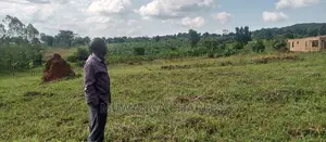 Plot Is for Sale in Busika