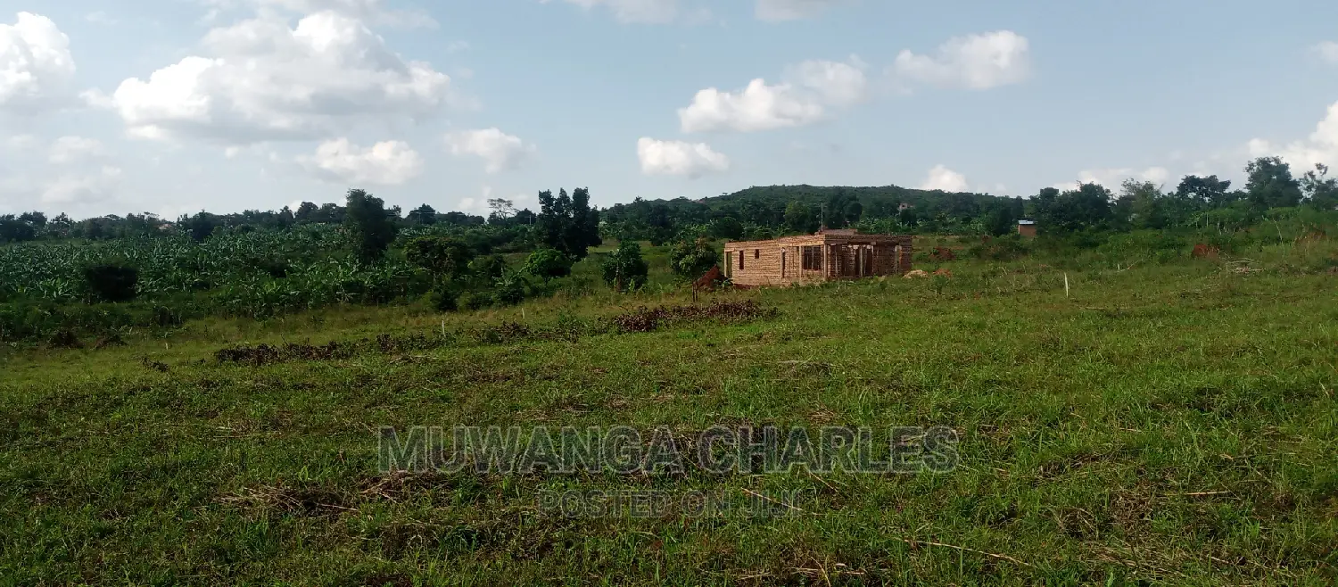Plot Is for Sale in Busika