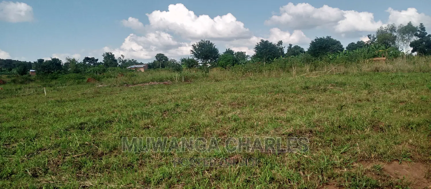 Plot Is for Sale in Busika
