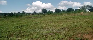 Plot Is for Sale in Busika