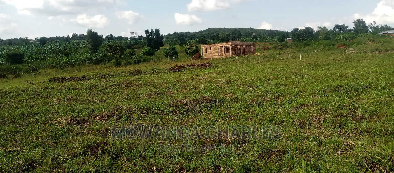 Plot Is for Sale in Busika