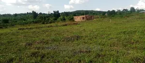 Plot Is for Sale in Busika