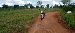 Plot Is for Sale in Busika
