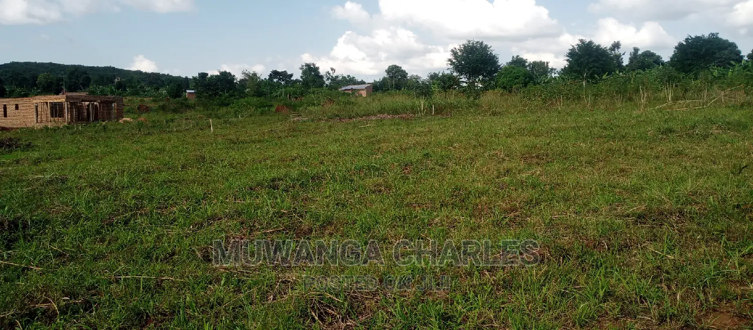 Plot Is for Sale in Busika