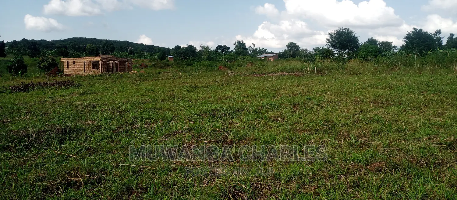 Plot Is for Sale in Busika