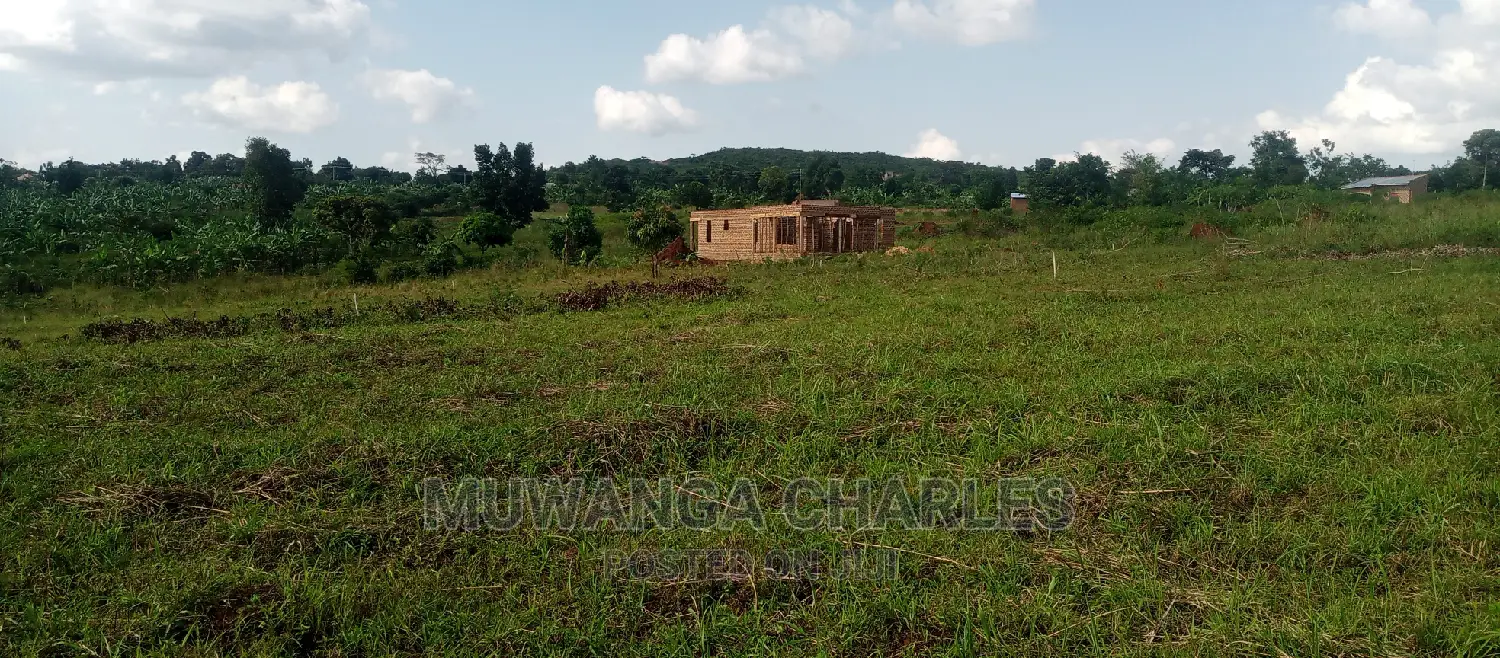 Plot Is for Sale in Busika