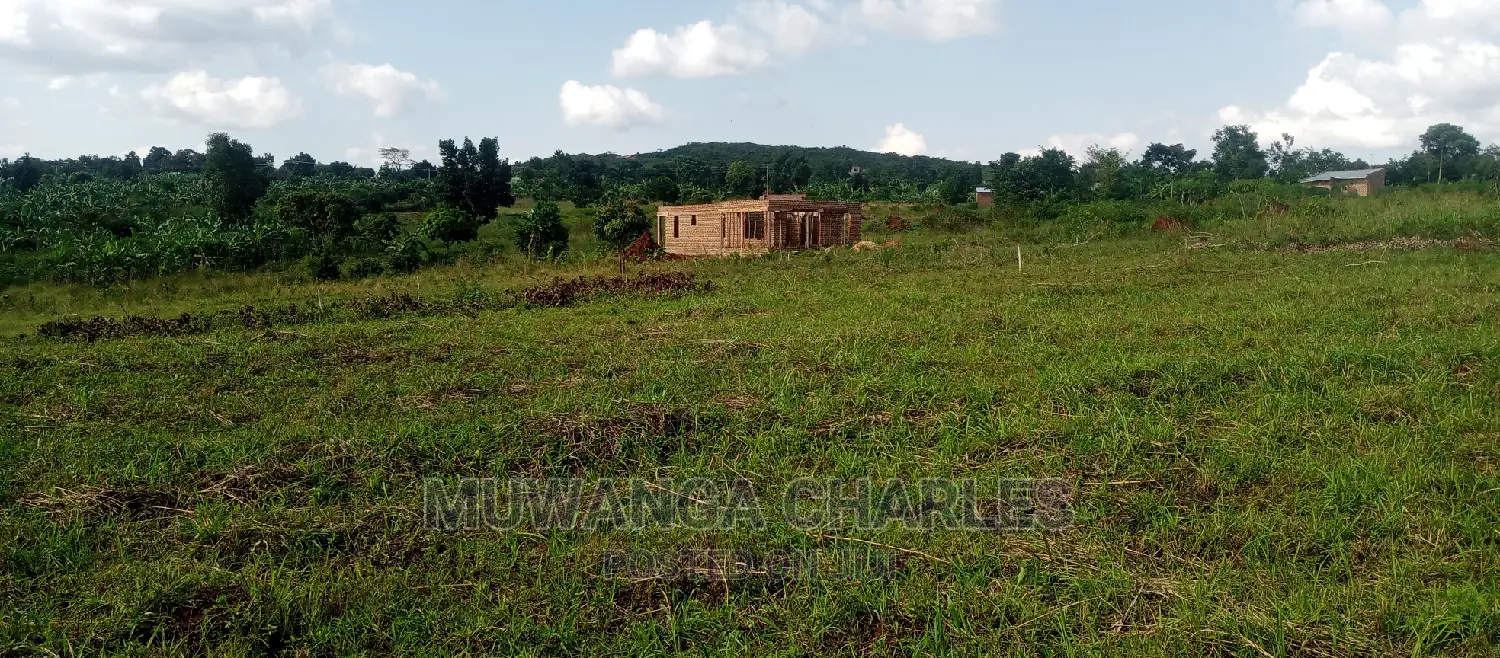 Plot Is for Sale in Busika