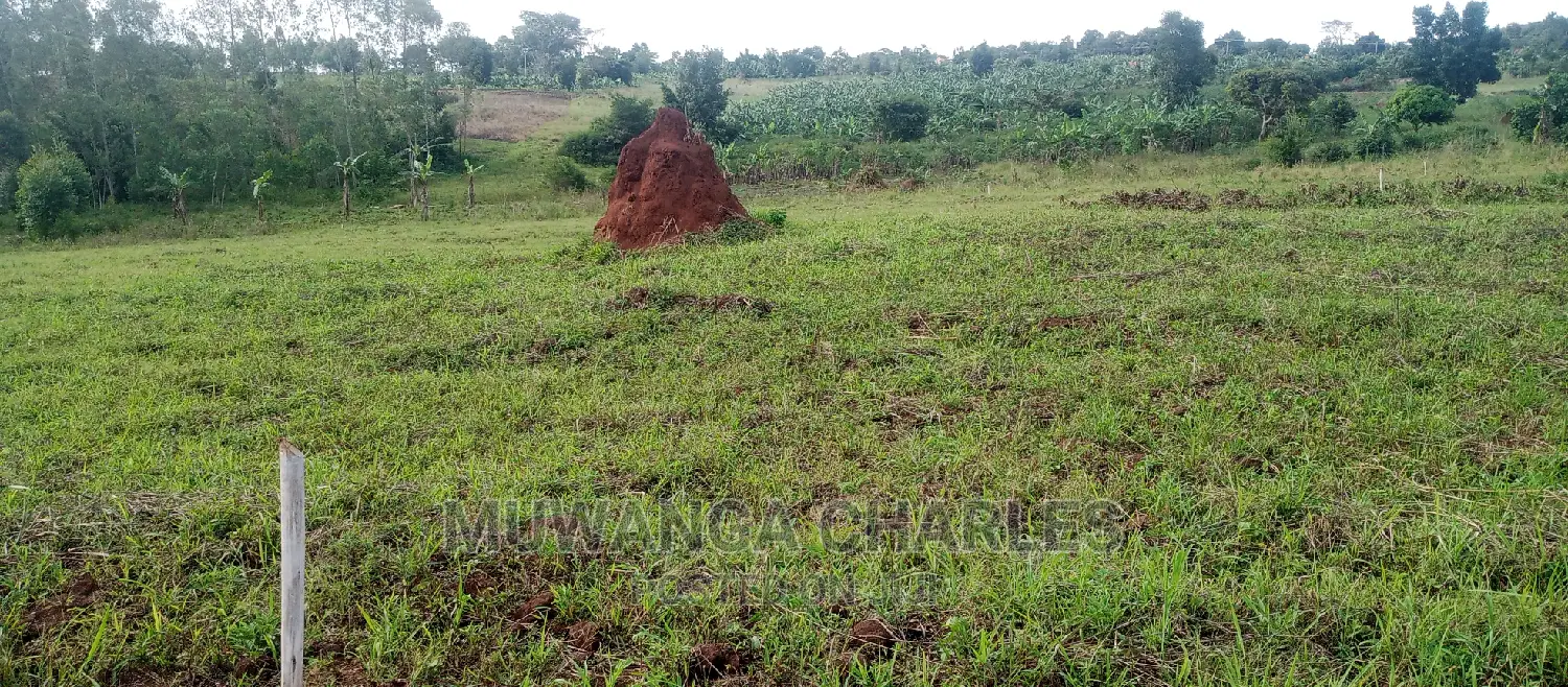 Plot Is for Sale in Busika