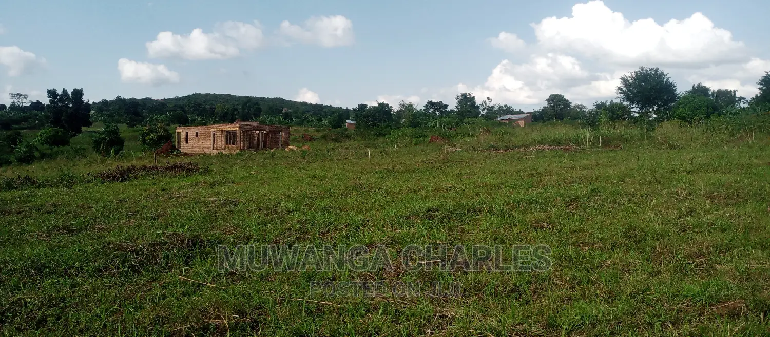 Plot Is for Sale in Busika