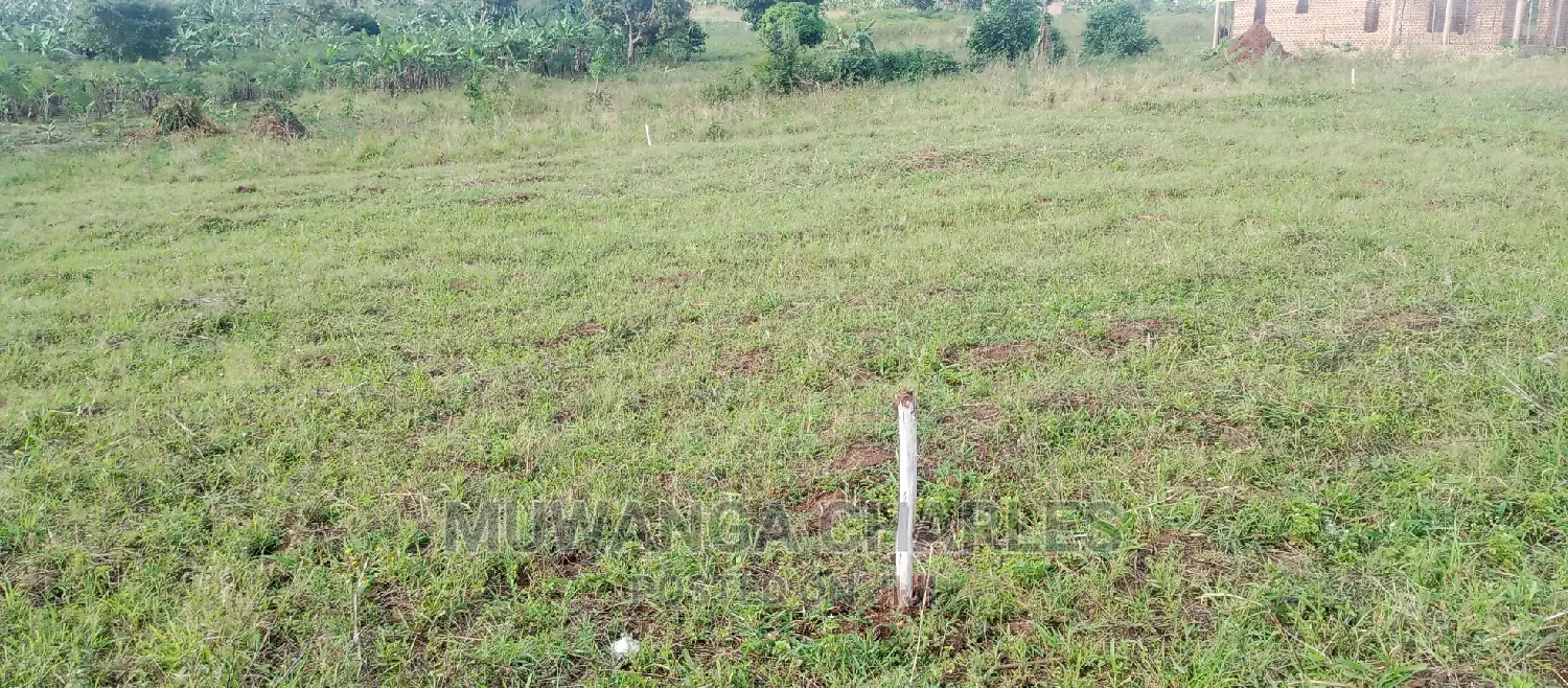 Plots Is for Sale in Busika