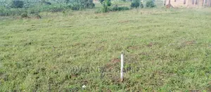 Plots Is for Sale in Busika