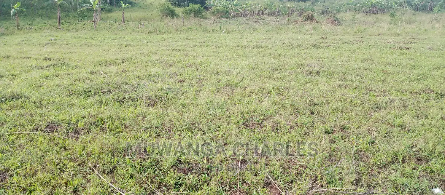 Plots Is for Sale in Busika