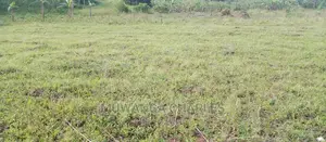 Plots Is for Sale in Busika