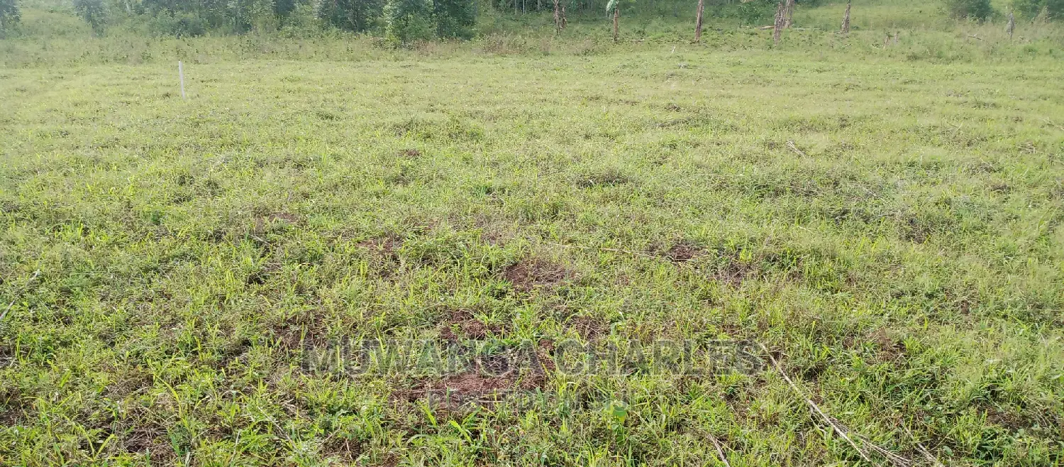Plots Is for Sale in Busika
