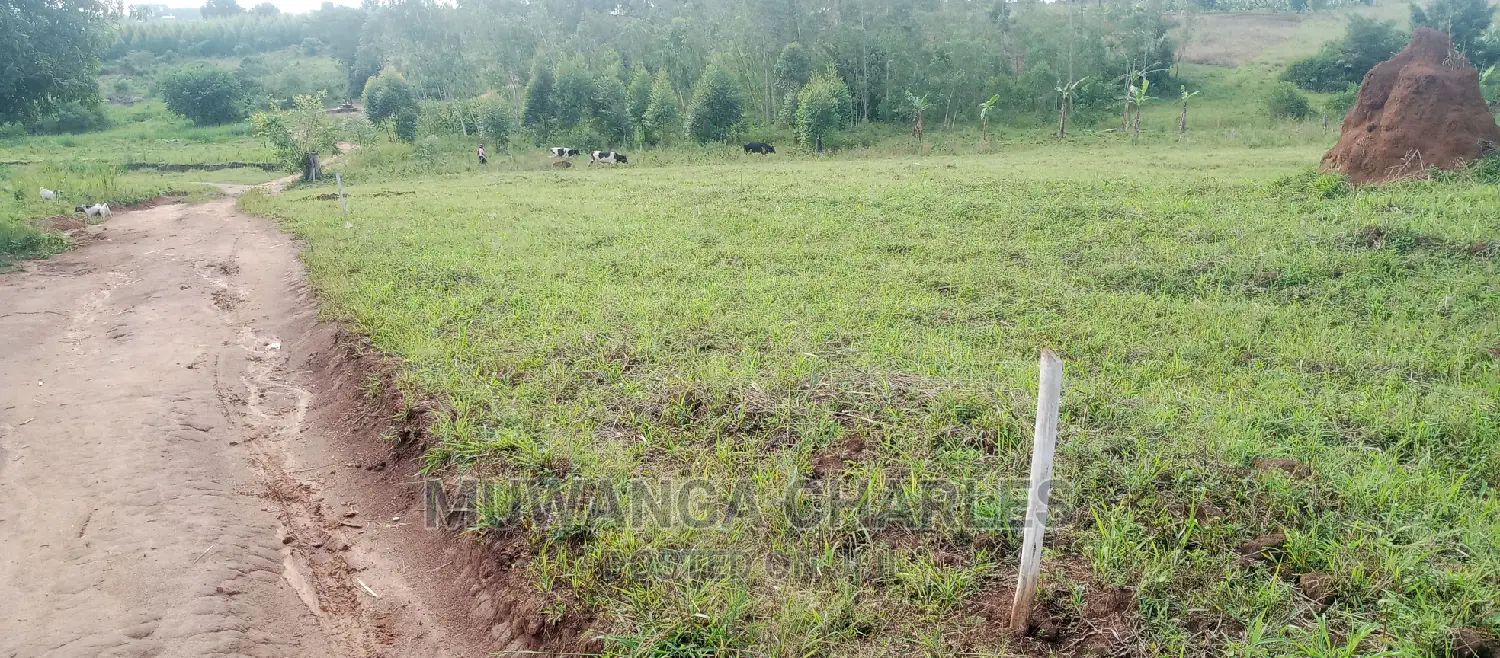 Plots Is for Sale in Busika