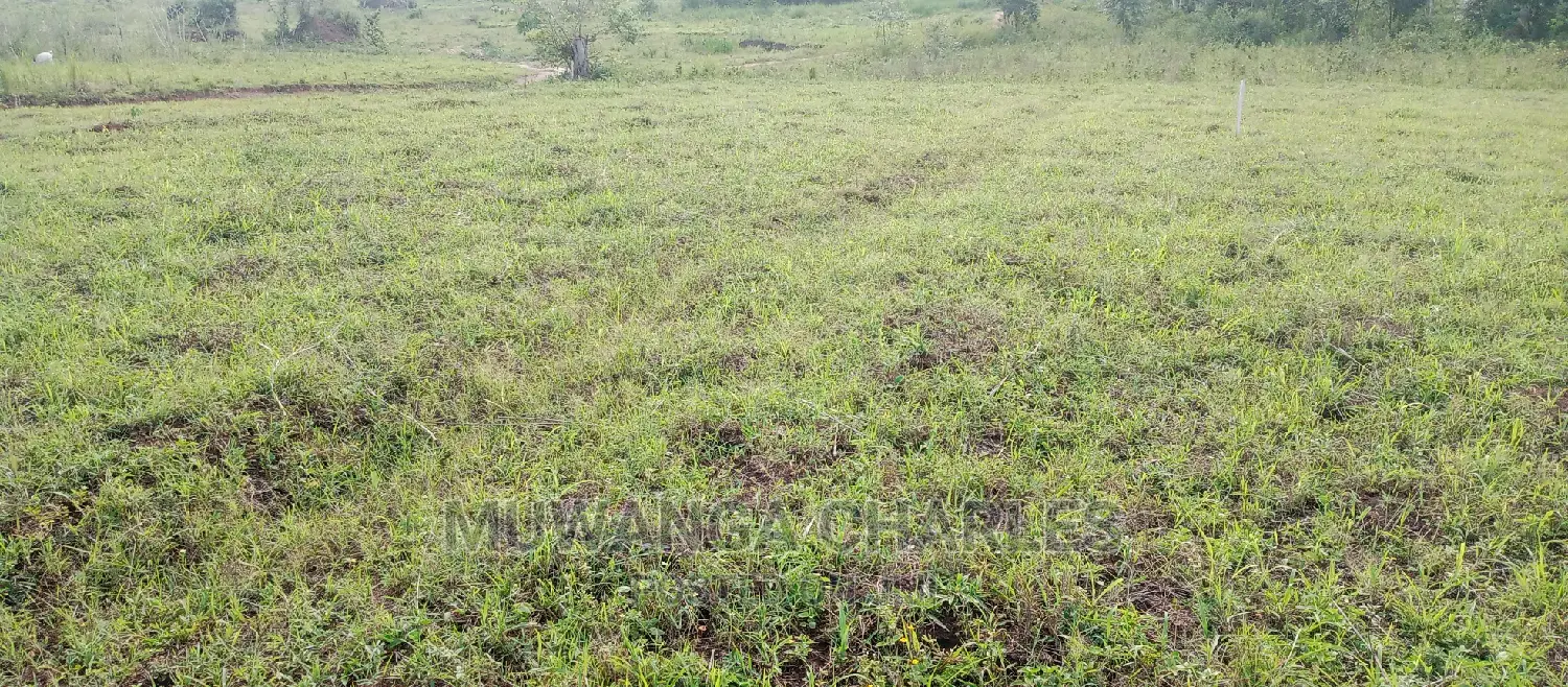 Plots Is for Sale in Busika