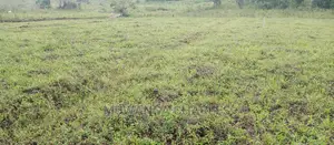 Plots Is for Sale in Busika