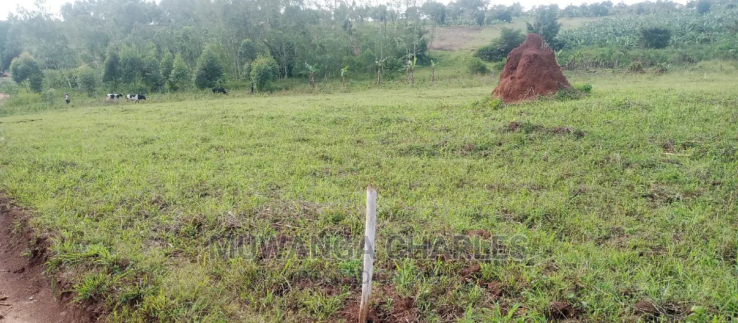 Plots Is for Sale in Busika
