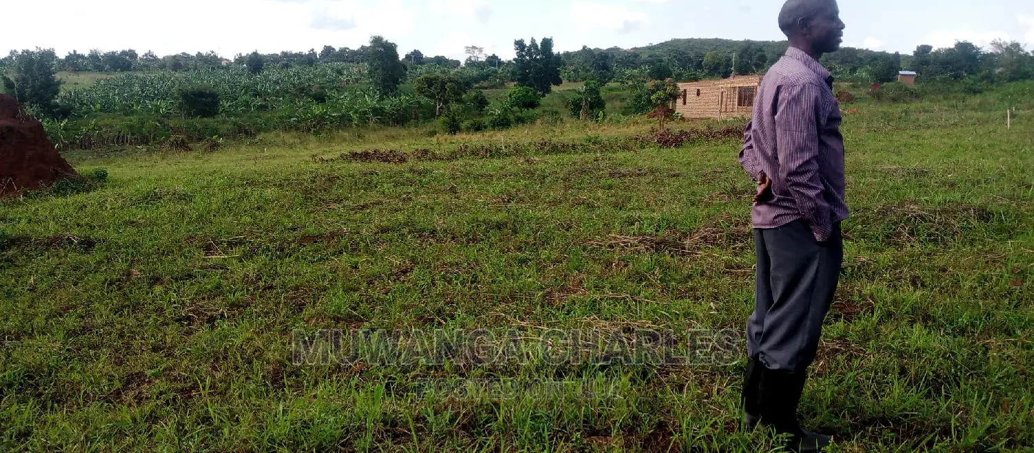 Plots Is for Sale in Busika