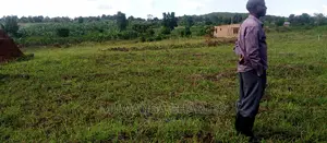 Plots Is for Sale in Busika