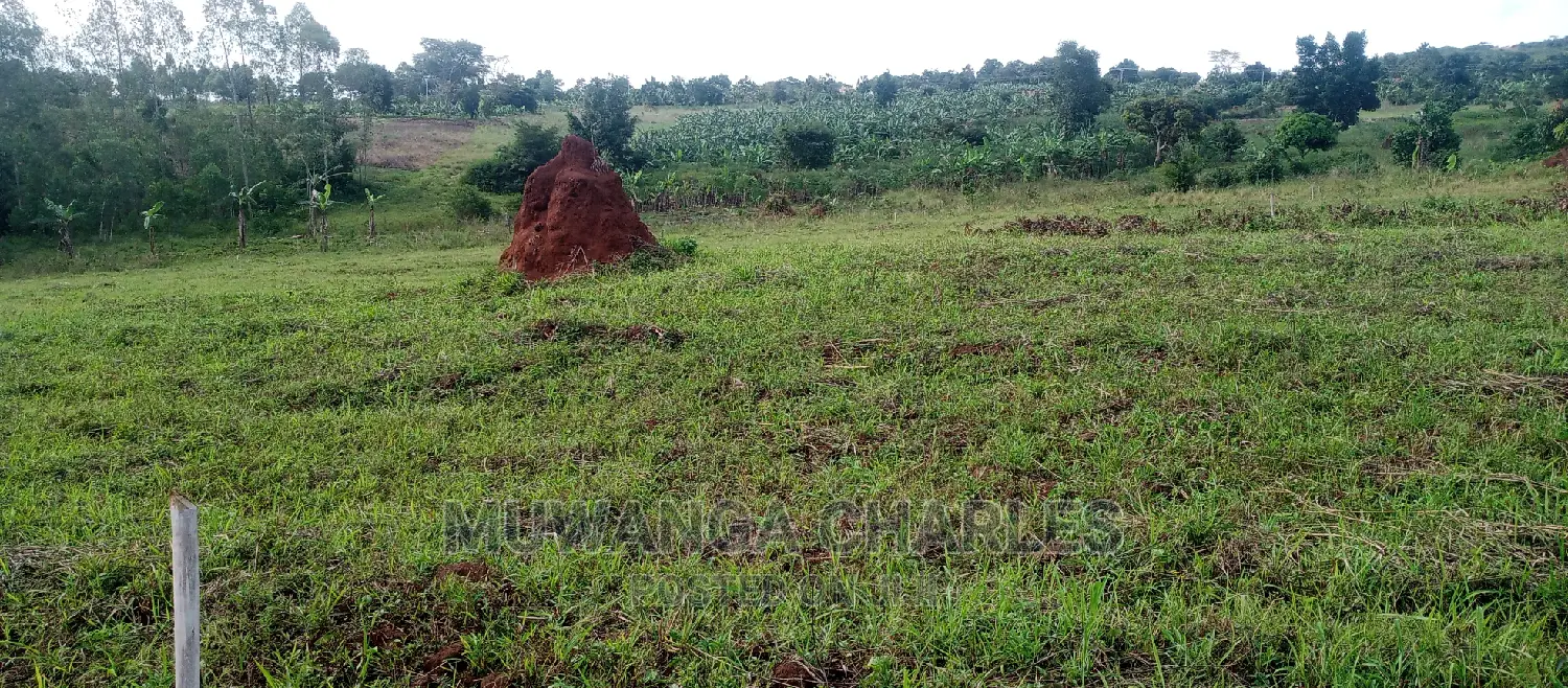 Plots Is for Sale in Busika
