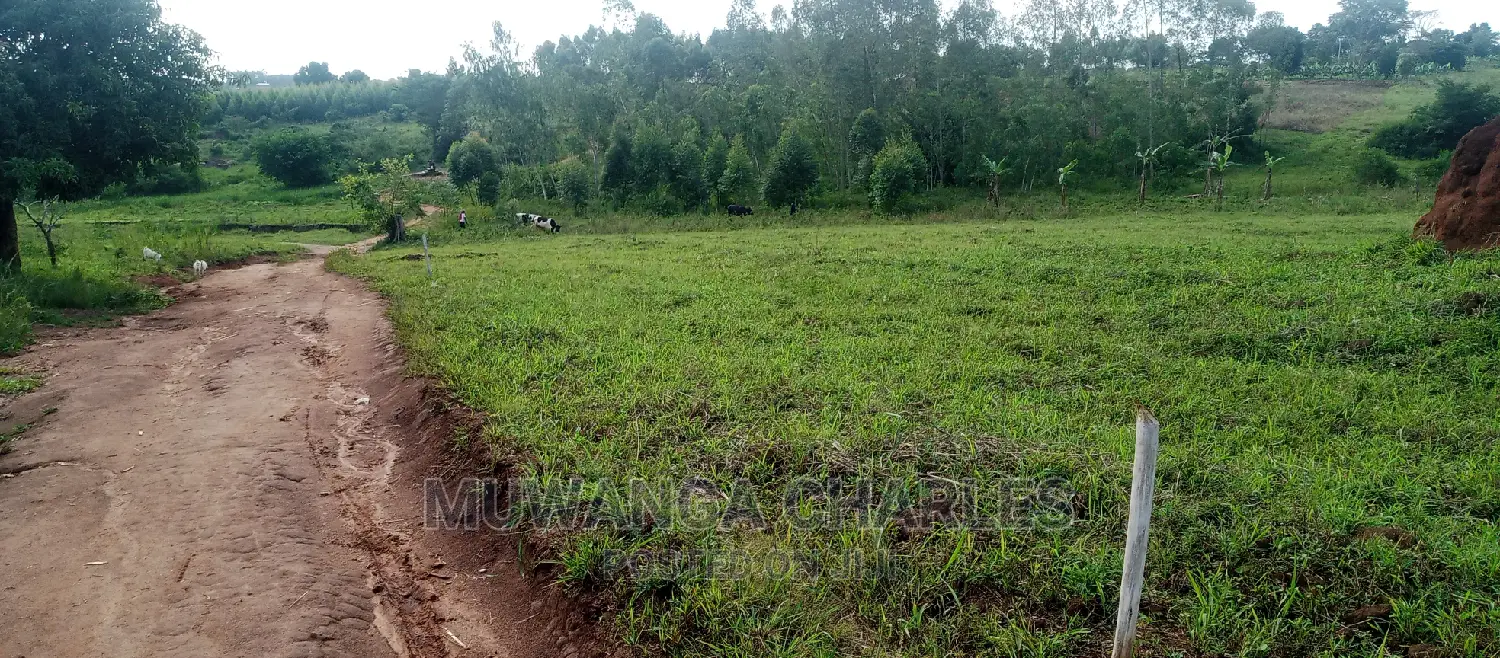 Plots Is for Sale in Busika