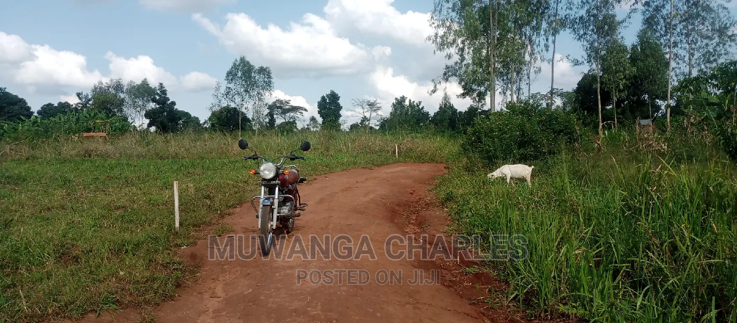 Plots Is for Sale in Busika